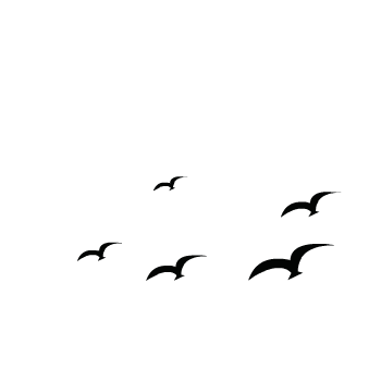 dbed0e03bae99bdc416afb2597d40796.gif