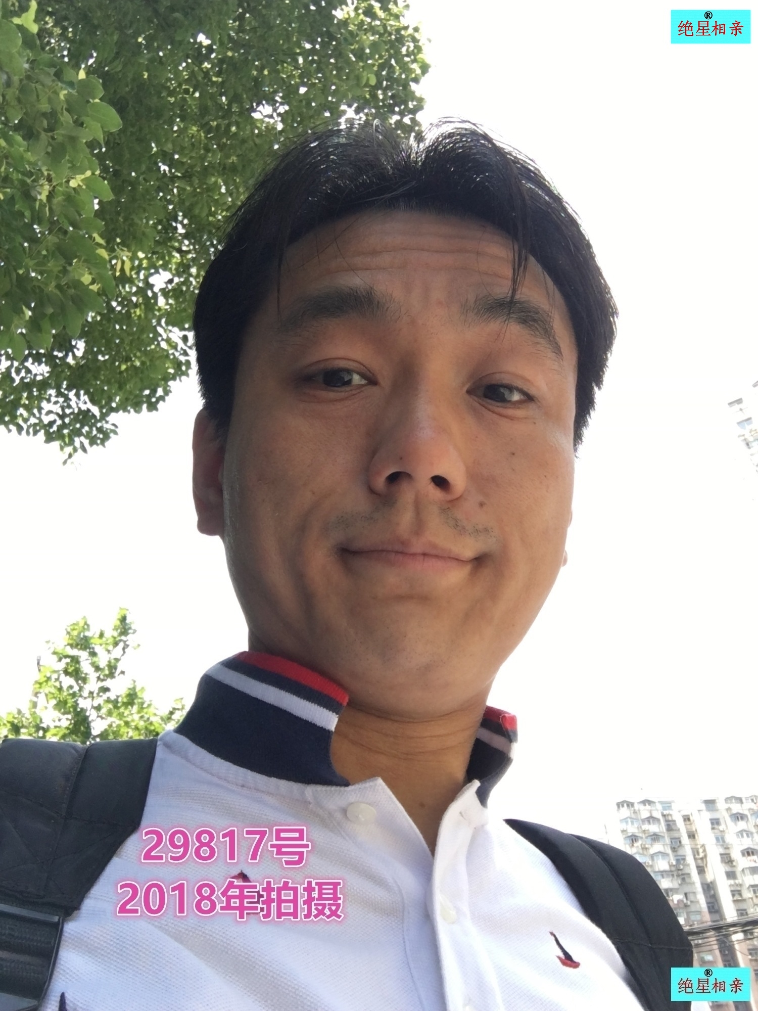 29817.jpg