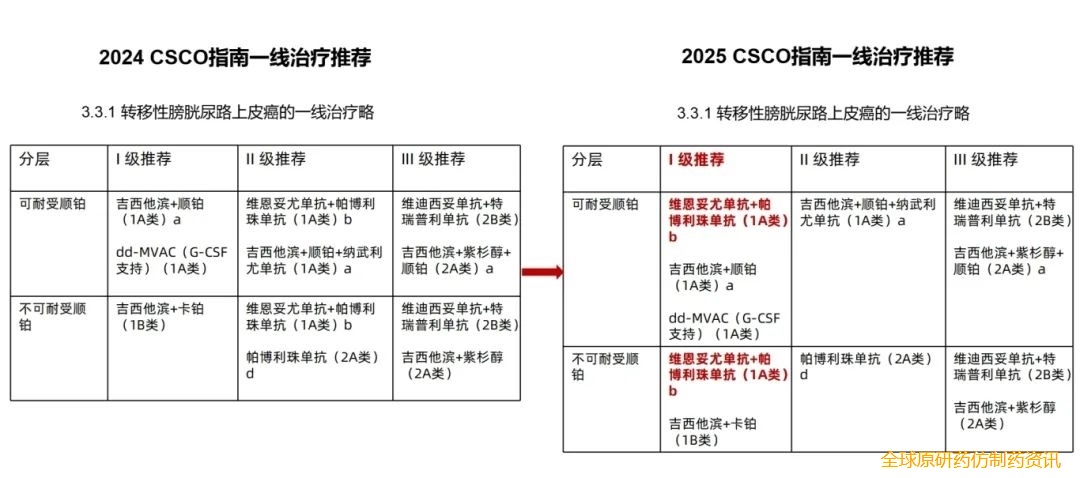 尿路上皮癌计划更新1.png