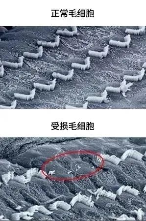 微信图片_20250418104820.jpg
