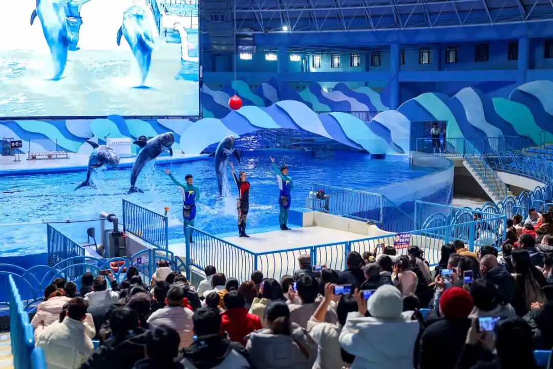 1.1 徐州欧乐堡海洋极地世界组织丰富多彩的精彩演绎 (7).jpg